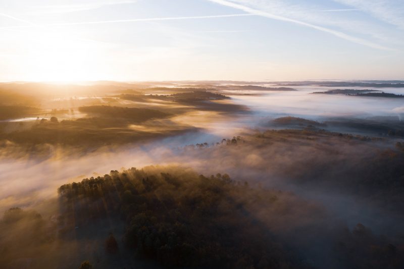 Un magnifique cliché du parc naturel du Périgord où la forêt mystérieuse se dévoile en Dordogne dans la région Nouvelle-Aquitaine en France.