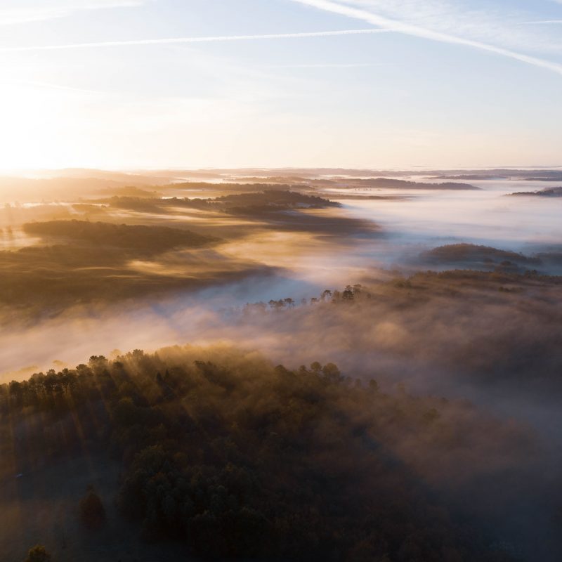 Un magnifique cliché du parc naturel du Périgord où la forêt mystérieuse se dévoile en Dordogne dans la région Nouvelle-Aquitaine en France.